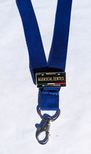 Load image into Gallery viewer, Pin Aguascalientes Car Plate Pin For Caps And Clothing Enamel Badge Pin AGS Mexico