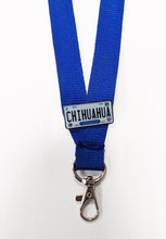 Load image into Gallery viewer, Chihuahua Car Plate Pin For Caps And Clothing Enamel Badge Pin CHIH Original Mexico plate Pin Mexican Pin