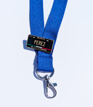 Load image into Gallery viewer, Perez Pin For Caps And Clothing Enamel Badge Pin Mexican Pin Mexican Flag Pin Perez Mexico Pin Hispanic Pin