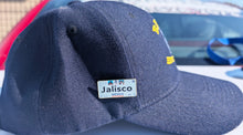 Load image into Gallery viewer, Jalisco Car Plate Pin For Caps And Clothing Enamel Badge Pin JAL Original Mexico plate Mexican #4
