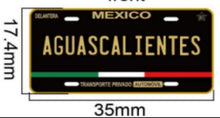 Load image into Gallery viewer, Pin Aguascalientes Car Plate Pin For Caps And Clothing Enamel Badge Pin AGS Mexico
