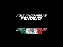 Load image into Gallery viewer, Aqui anduvieras Pendejo Decal Car Window Map Vinyl Sticker Mexico Trucking Stick