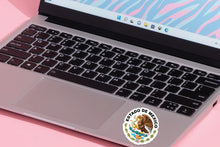 Load image into Gallery viewer, Escudo Mexican Flag Decal Edo de Mexico Car Window Laptop Vinyl Sticker Estado de Mexico