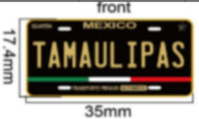 Load image into Gallery viewer, Pin Tamaulipas Car Plate Pin For Caps And Clothing Enamel Badge Pin TAMPS Mexico