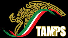 Load image into Gallery viewer, Mexican Eagle Decal escudo car window vinyl sticker Gobierno Mex. Tamaulipas TAMPS Estado Mexican Flag Trokiando Trokitas trucking decals