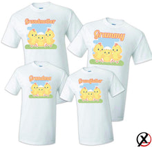 Load image into Gallery viewer, Chick t shirts Birthday Matching Party Family Kid Tshirt Little Chick, Chicken