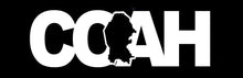 Load image into Gallery viewer, Coahuila letters Decal Car Window Laptop Map Vinyl Sticker Mexico Coah decal