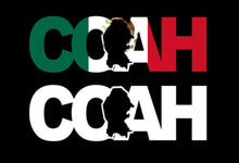 Load image into Gallery viewer, Coahuila letters Decal Car Window Laptop Map Vinyl Sticker Mexico Coah decal