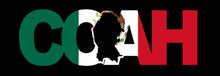 Load image into Gallery viewer, Coahuila letters Decal Car Window Laptop Map Vinyl Sticker Mexico Coah decal
