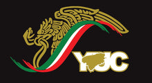 Load image into Gallery viewer, Mexico Eagle Yucatan Sticker | Car window vinyl sticker decal Gobierno de Mex. Mexico Aguila logo Mexican Flag YUC Trokiando Regios