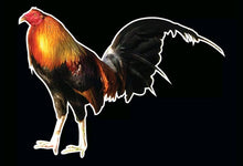 Load image into Gallery viewer, Rooster Bird Farm Decal Car Window Vinyl Sticker truck Wall Trailer Hen Chicken