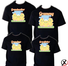 Load image into Gallery viewer, Chick t shirts Birthday Matching Party Family Kid Tshirt Little Chick, Chicken