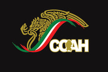 Load image into Gallery viewer, Mexico Eagle Coahuila Sticker | Car window vinyl sticker decal Gobierno de Mex. Mexico Aguila logo Mexican Flag COAH Trokiando Trokas decal