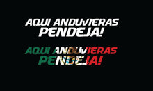 Load image into Gallery viewer, Aqui anduvieras Pendeja Decal Car Window Map Vinyl Sticker Mexico Trucking Stick