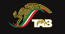 Load image into Gallery viewer, Mexico Eagle Tabasco Sticker | Car window vinyl sticker decal Gobierno de Mex. Mexico Aguila logo Mexican Flag TAB Trokiando Regios