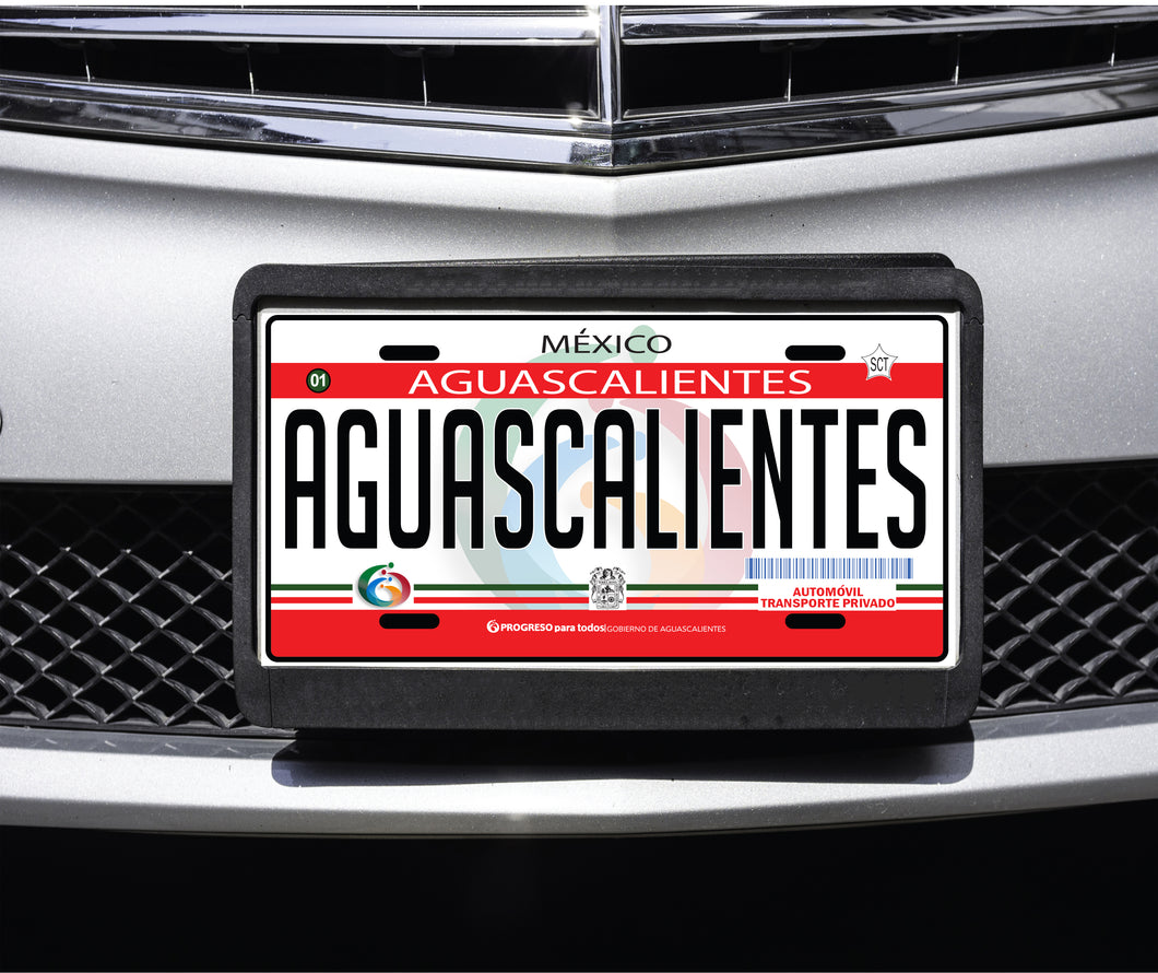 Aguascalientes Mexico Car Plate Aluminum License Plate Mexican Mexico AGS…
