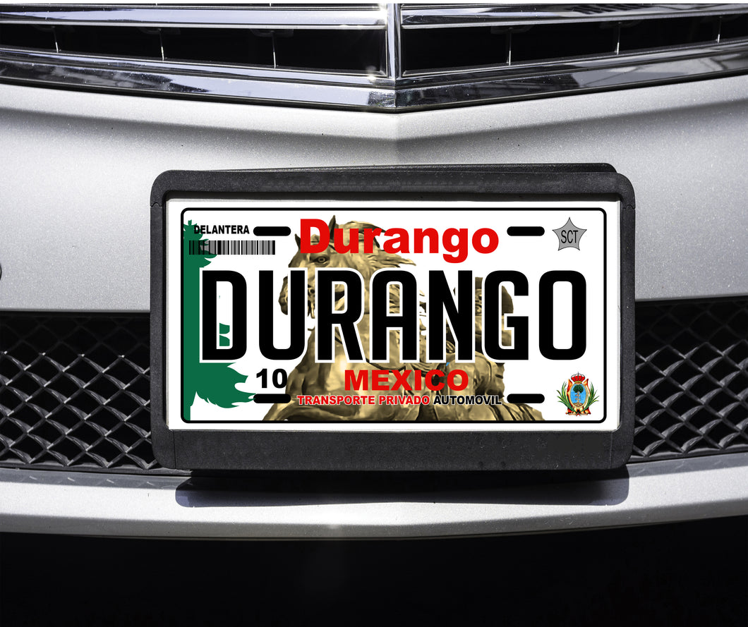 Durango Mexico Car Plate Aluminum License Plate Mexican Mexico DGO Placa de Mexico