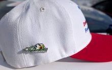 Load image into Gallery viewer, Los Aguacateros de Michoacan Pin For Caps And Clothing Enamel Badge Mexican Pi Michoacan MICH Aguacate
