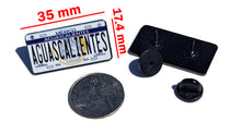 Load image into Gallery viewer, Aguascalientes Car Plate Pin For Caps And Clothing Enamel Badge Pin AGS Original Mexico plate Pin
