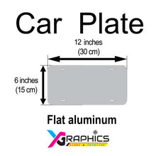 Load image into Gallery viewer, Distrito Federal Mexico Car Plate Aluminum License Plate Mexican Mexico DF Placa de Mexico
